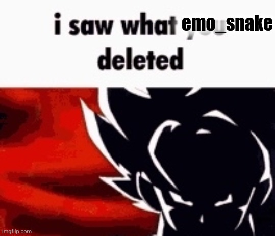 i saw what you deleted | emo_snake | image tagged in i saw what you deleted | made w/ Imgflip meme maker