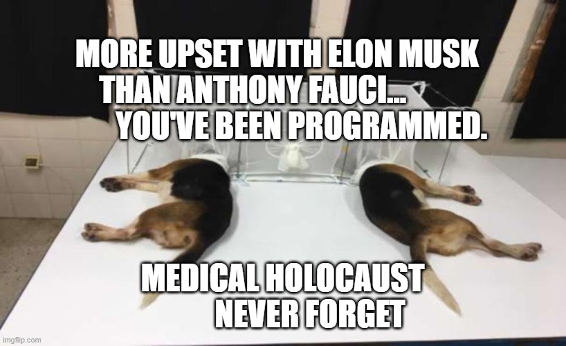 Fauci Beagles | MORE UPSET WITH ELON MUSK THAN ANTHONY FAUCI...                  YOU'VE BEEN PROGRAMMED. MEDICAL HOLOCAUST           NEVER FORGET | image tagged in fauci beagles | made w/ Imgflip meme maker