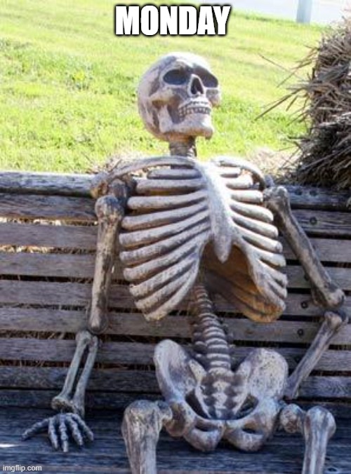 Waiting Skeleton | MONDAY | image tagged in memes,waiting skeleton | made w/ Imgflip meme maker