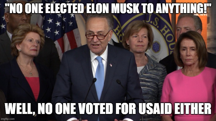 Democrat congressmen | "NO ONE ELECTED ELON MUSK TO ANYTHING!"; WELL, NO ONE VOTED FOR USAID EITHER | image tagged in democrat congressmen | made w/ Imgflip meme maker