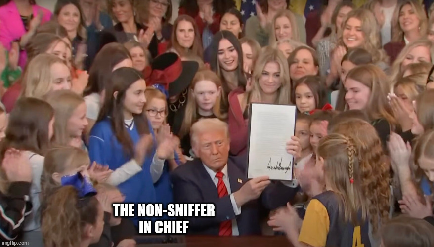 THE NON-SNIFFER
IN CHIEF | image tagged in all safe | made w/ Imgflip meme maker