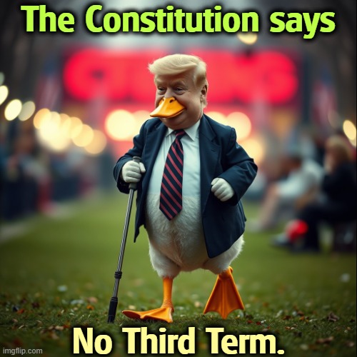 No Do-Overs | The Constitution says; No Third Term. | image tagged in donald trump lame duck the constitution says no third term,donald trump,lame duck,term limits | made w/ Imgflip meme maker
