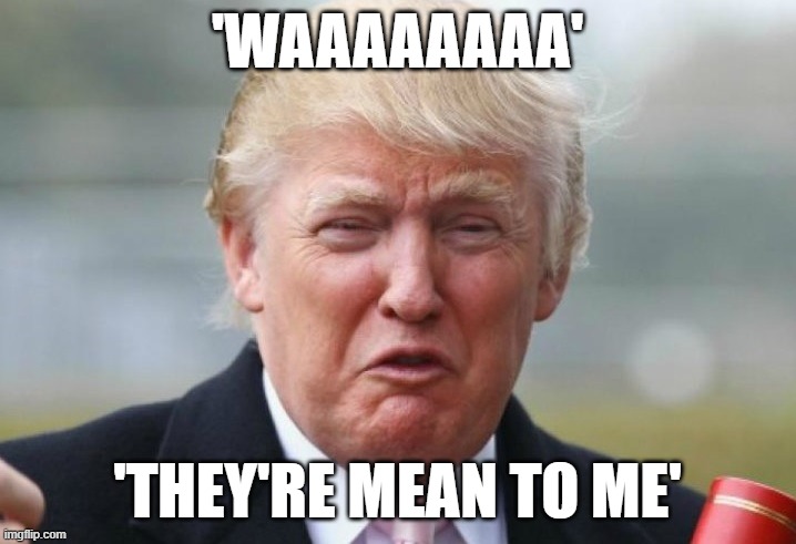 Trump crying | 'WAAAAAAAA'; 'THEY'RE MEAN TO ME' | image tagged in trump crybaby,whining trump,trump | made w/ Imgflip meme maker