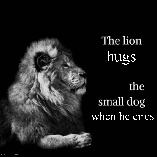 The Lion | hugs; when he cries | image tagged in the lion and dog | made w/ Imgflip meme maker