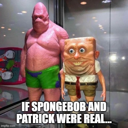 Nope...Nope... | IF SPONGEBOB AND PATRICK WERE REAL... | image tagged in patrick star,spongebob | made w/ Imgflip meme maker