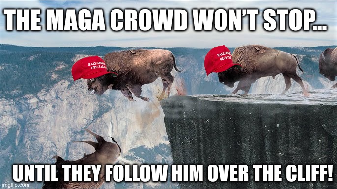 Trump over the cliff | THE MAGA CROWD WON’T STOP…; UNTIL THEY FOLLOW HIM OVER THE CLIFF! | image tagged in donald trump,republicans,maga,conservatives,right wing,musk | made w/ Imgflip meme maker