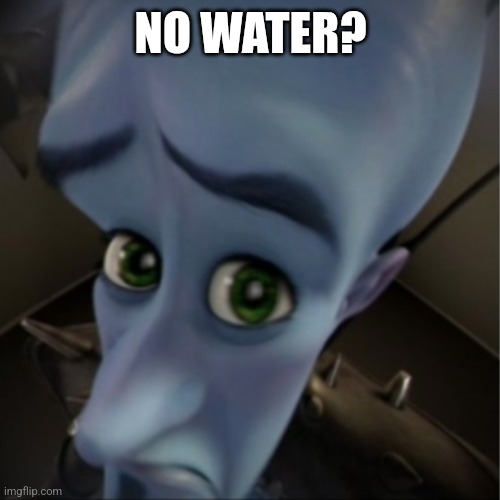 Megamind peeking | NO WATER? | image tagged in megamind peeking | made w/ Imgflip meme maker