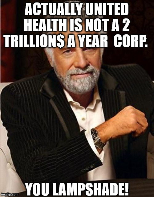 ACTUALLY UNITED HEALTH IS NOT A 2 TRILLION$ A YEAR  CORP. YOU LAMPSHADE! | made w/ Imgflip meme maker