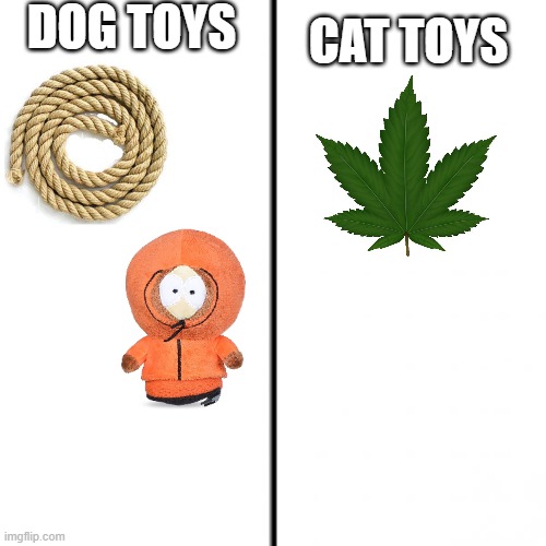 cats love drugs | DOG TOYS; CAT TOYS | image tagged in t chart | made w/ Imgflip meme maker