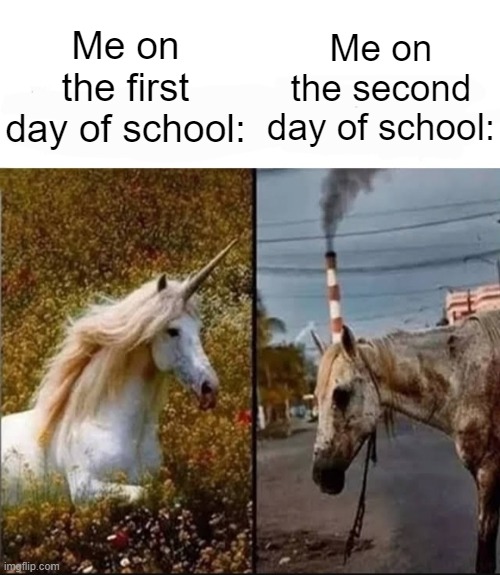 Unicorn vs dirty horse | Me on the second day of school:; Me on the first day of school: | image tagged in unicorn vs dirty horse | made w/ Imgflip meme maker