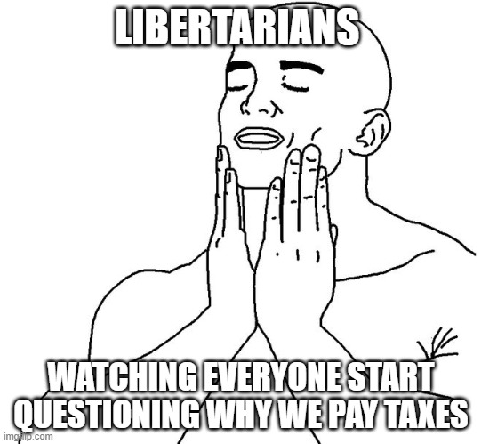 AhhhYessFeelsGood | LIBERTARIANS; WATCHING EVERYONE START QUESTIONING WHY WE PAY TAXES | image tagged in satisfaction | made w/ Imgflip meme maker