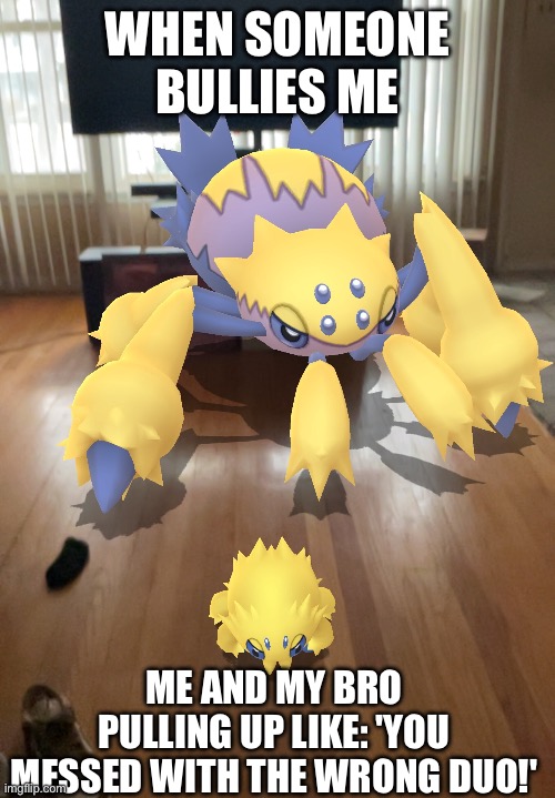 Do not mess with the wrong duo | WHEN SOMEONE BULLIES ME; ME AND MY BRO PULLING UP LIKE: 'YOU MESSED WITH THE WRONG DUO!' | image tagged in pokemon go | made w/ Imgflip meme maker