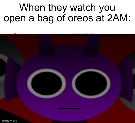 Durple always sees you open a bag of treats | When they watch you open a bag of oreos at 2AM: | image tagged in durple stare at you without text | made w/ Imgflip meme maker