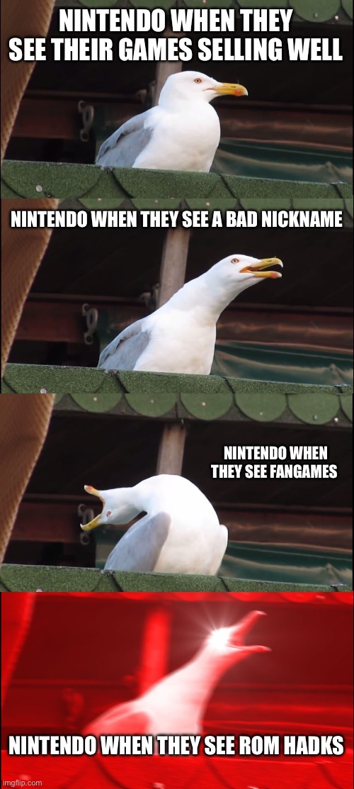 Nintendo | NINTENDO WHEN THEY SEE THEIR GAMES SELLING WELL; NINTENDO WHEN THEY SEE A BAD NICKNAME; NINTENDO WHEN THEY SEE FANGAMES; NINTENDO WHEN THEY SEE ROM HACKS | image tagged in memes,inhaling seagull | made w/ Imgflip meme maker