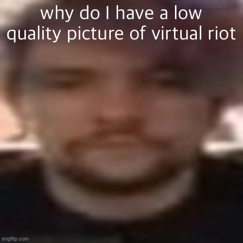 vital rot | why do I have a low quality picture of virtual riot | image tagged in vital rot | made w/ Imgflip meme maker