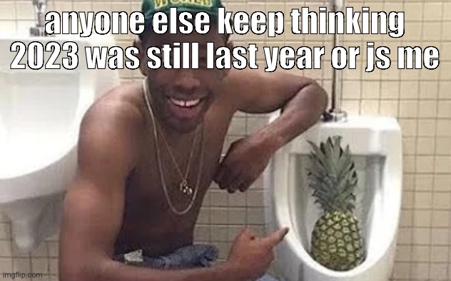 tyler pineapple | anyone else keep thinking 2023 was still last year or js me | image tagged in tyler pineapple | made w/ Imgflip meme maker