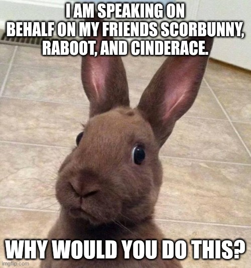 Really? Rabbit | I AM SPEAKING ON BEHALF ON MY FRIENDS SCORBUNNY, RABOOT, AND CINDERACE. WHY WOULD YOU DO THIS? | image tagged in really rabbit | made w/ Imgflip meme maker