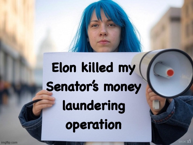 Leftist protesting that their senators were doing illegal things | image tagged in political meme | made w/ Imgflip meme maker