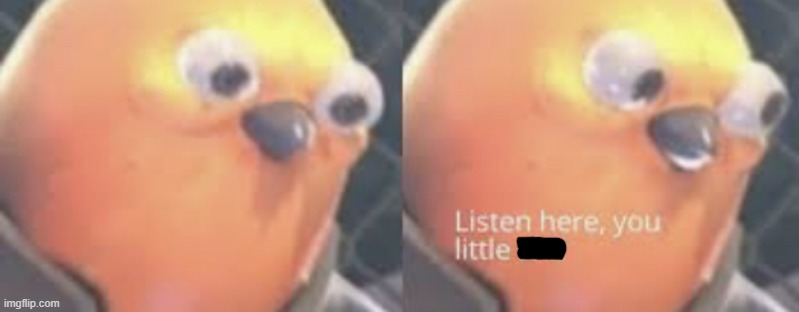 Listen here you little shit bird | image tagged in listen here you little shit bird | made w/ Imgflip meme maker