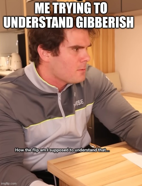 ryan hd | ME TRYING TO UNDERSTAND GIBBERISH | image tagged in ryan hd | made w/ Imgflip meme maker
