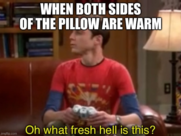 Sheldon Cooper Oh What fresh hell is this? | WHEN BOTH SIDES OF THE PILLOW ARE WARM | image tagged in sheldon cooper oh what fresh hell is this | made w/ Imgflip meme maker