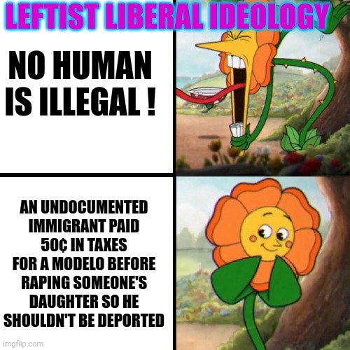 Cuphead Flower | NO HUMAN IS ILLEGAL ! AN UNDOCUMENTED IMMIGRANT PAID 50¢ IN TAXES FOR A MODELO BEFORE RAPING SOMEONE'S DAUGHTER SO HE SHOULDN'T BE DEPORTED  | image tagged in cuphead flower | made w/ Imgflip meme maker