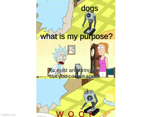 silly funny butter robot thing but dog | image tagged in what's my purpose - butter robot,dog memes | made w/ Imgflip meme maker