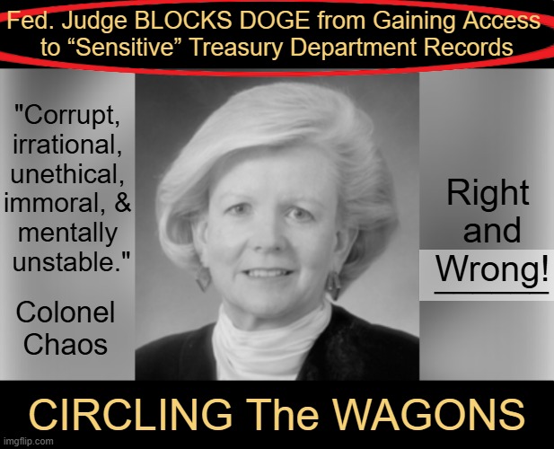 DOGE Team Previously Discovered Treasury was Funding Terrorist Groups | Fed. Judge BLOCKS DOGE from Gaining Access 
to “Sensitive” Treasury Department Records; "Corrupt, 
irrational, 
unethical, 
immoral, & 
mentally 
unstable."; Right 
and
Wrong! ______; Colonel 
Chaos; CIRCLING The WAGONS | image tagged in judge,leftist,corrupt,doge,government corruption,wrong | made w/ Imgflip meme maker