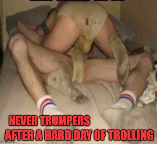 Never Trumpers | NEVER TRUMPERS; AFTER A HARD DAY OF TROLLING | image tagged in gay,donald trump approves,hater,stupid liberals | made w/ Imgflip meme maker