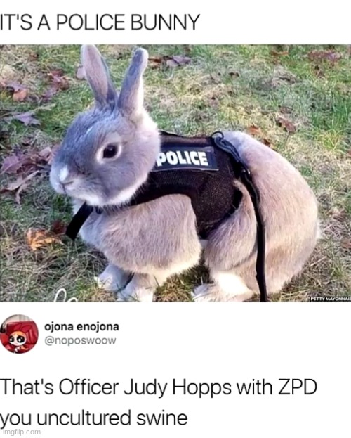 judy hopps | made w/ Imgflip meme maker