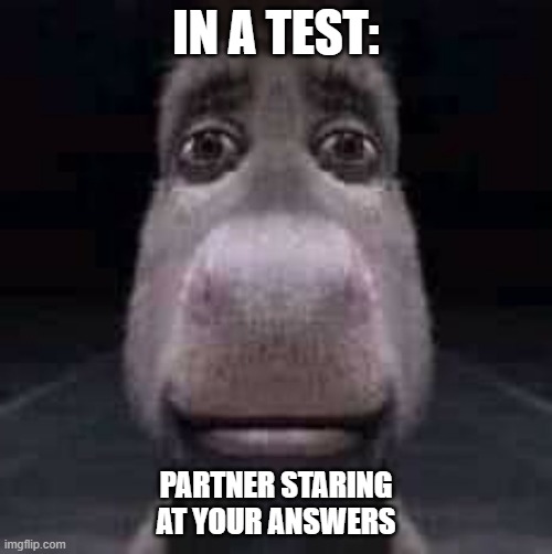 Donkey staring | IN A TEST:; PARTNER STARING AT YOUR ANSWERS | image tagged in donkey staring | made w/ Imgflip meme maker