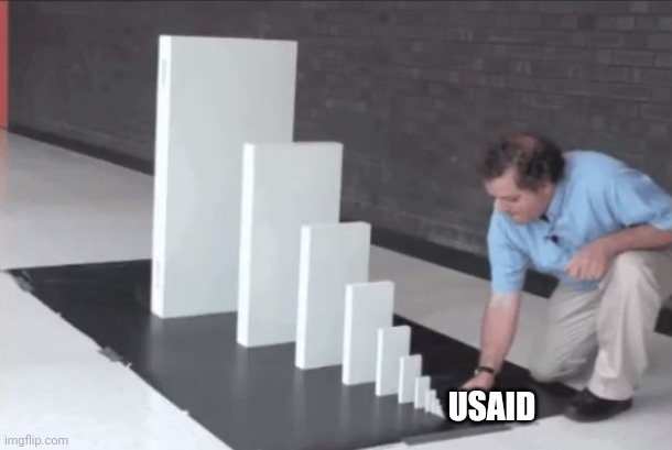 domino effect | USAID | image tagged in domino effect | made w/ Imgflip meme maker