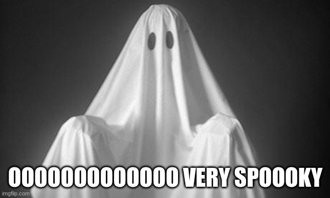 ghoooost | OOOOOOOOOOOOO VERY SPOOOKY | image tagged in ghost | made w/ Imgflip meme maker