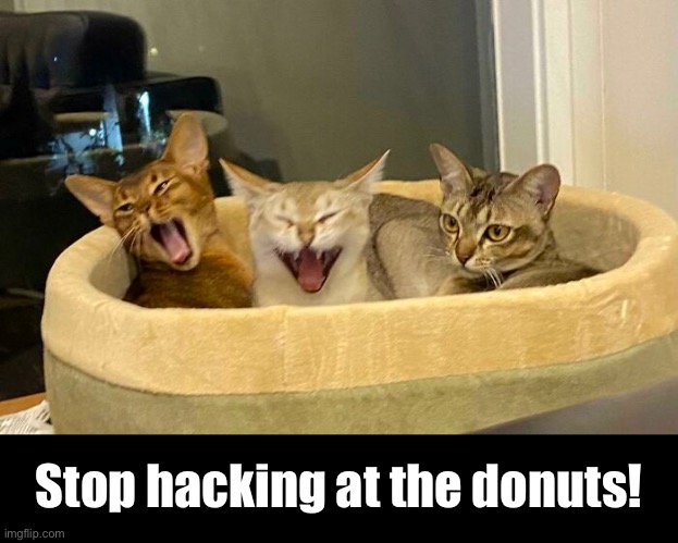 Stop hacking at the donuts! | made w/ Imgflip meme maker