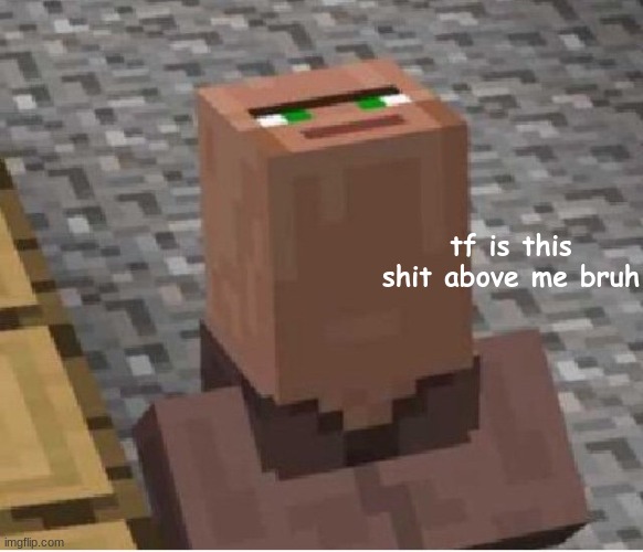 Minecraft Villager Looking Up | tf is this shit above me bruh | image tagged in minecraft villager looking up | made w/ Imgflip meme maker