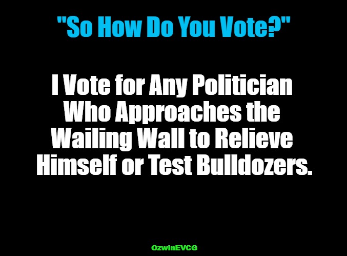 [Personal Voting Strategy] | "So How Do You Vote?"; I Vote for Any Politician 

Who Approaches the 

Wailing Wall to Relieve 

Himself or Test Bulldozers. OzwinEVCG | image tagged in voting,politicians suck,jews,israel,judaism,world occupied | made w/ Imgflip meme maker