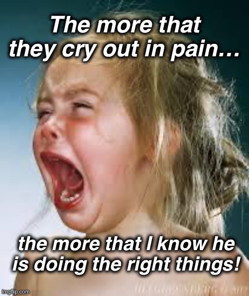 If you know, you know | The more that they cry out in pain…; the more that I know he is doing the right things! | image tagged in crying baby | made w/ Imgflip meme maker