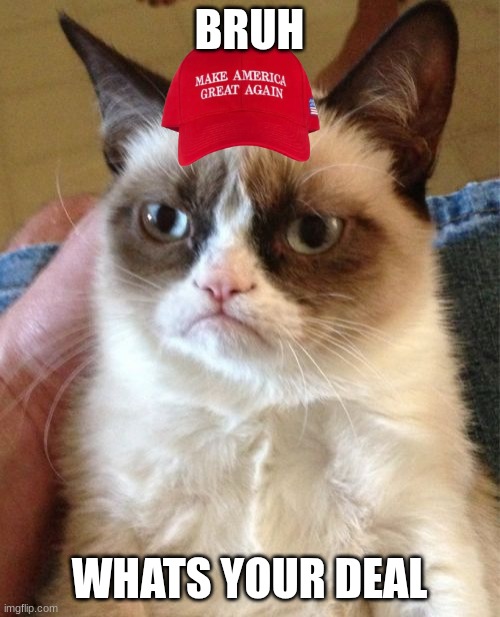 Grumpy Cat Meme | BRUH WHATS YOUR DEAL | image tagged in memes,grumpy cat | made w/ Imgflip meme maker