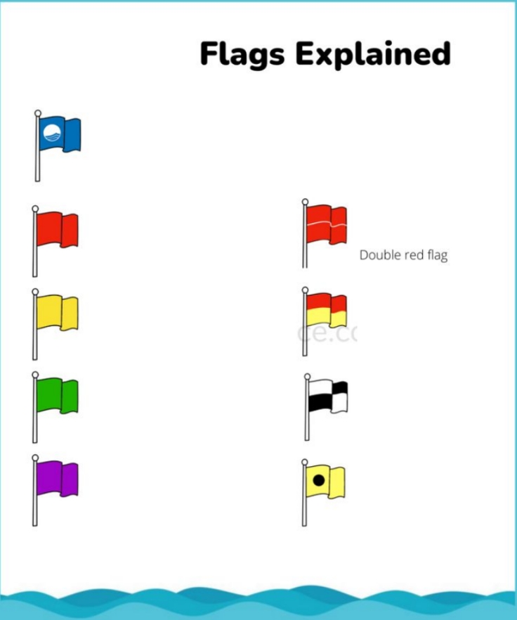 High Quality Beach Flags Meme Blank Meme Template