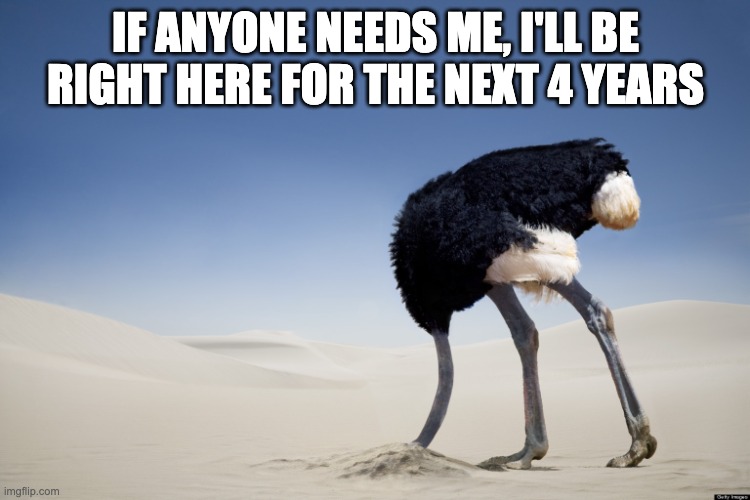 head in the sand | IF ANYONE NEEDS ME, I'LL BE RIGHT HERE FOR THE NEXT 4 YEARS | image tagged in ostrich head in sand | made w/ Imgflip meme maker