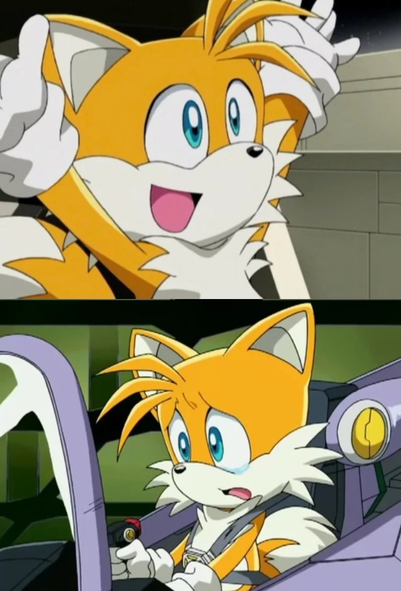 Tails happy vs sad Blank Meme Template