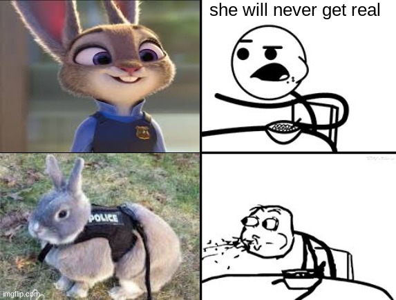 He will never | she will never get real | image tagged in he will never | made w/ Imgflip meme maker
