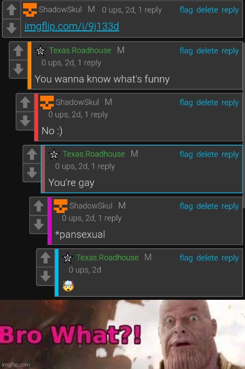 image tagged in thanos - bro what | made w/ Imgflip meme maker