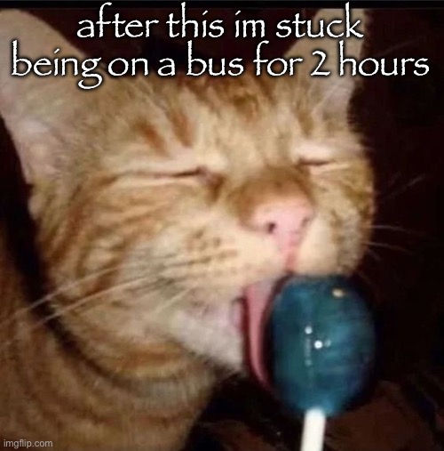 silly goober 2 | after this im stuck being on a bus for 2 hours | image tagged in silly goober 2 | made w/ Imgflip meme maker