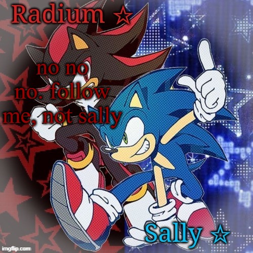 Radium and Sally temp | no no no. follow me, not sally | image tagged in radium and sally temp | made w/ Imgflip meme maker