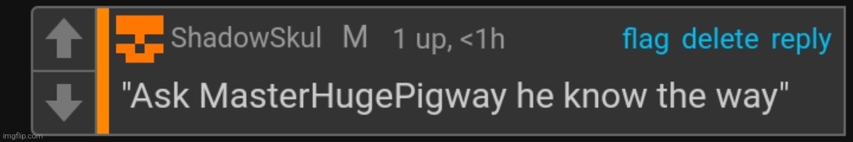 MasterHugePigway | image tagged in masterhugepigway | made w/ Imgflip meme maker