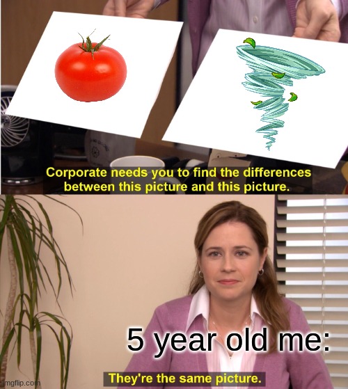 Tomato-Tornado | 5 year old me: | image tagged in memes,they're the same picture | made w/ Imgflip meme maker