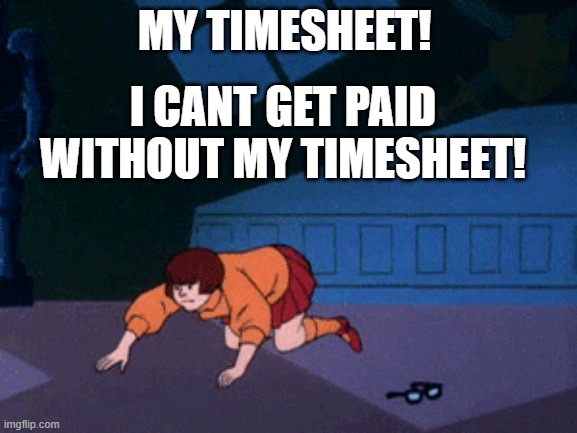 velma timesheet | MY TIMESHEET! I CANT GET PAID WITHOUT MY TIMESHEET! | image tagged in velma looking for glasses,timesheet | made w/ Imgflip meme maker