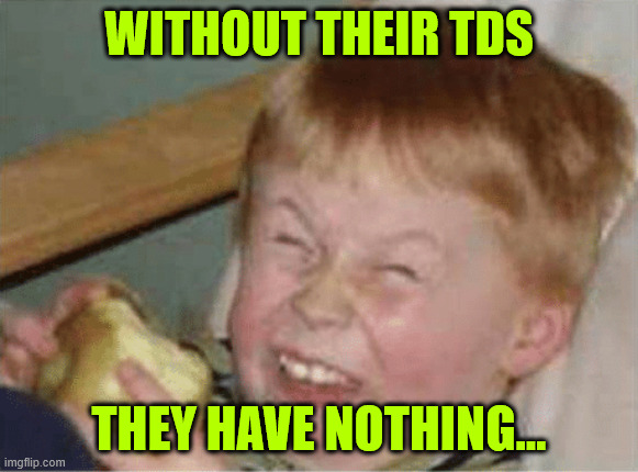 sour apple | WITHOUT THEIR TDS THEY HAVE NOTHING... | image tagged in sour apple | made w/ Imgflip meme maker