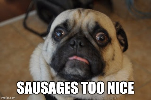 Sausages too nice | SAUSAGES TOO NICE | image tagged in pug worried | made w/ Imgflip meme maker